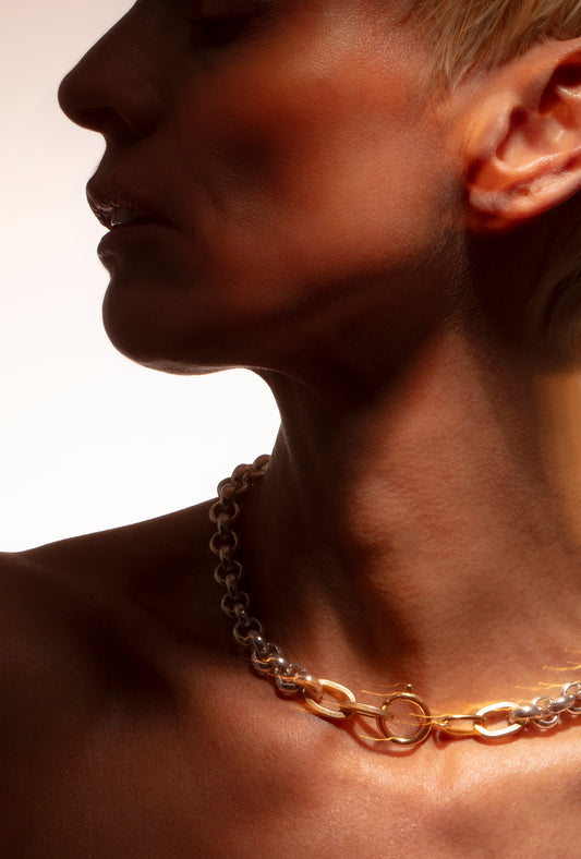 Bold Choker Necklace Bicolor